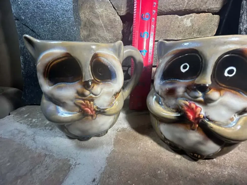 Raccoon coffee cups set of 2 adorable! Read